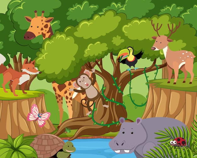 Premium Vector | Wild animals live in the forest