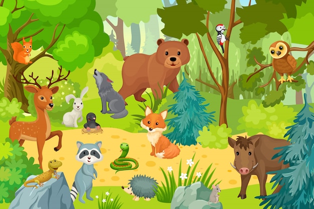 Животные которые живут в лесу картинки для детей