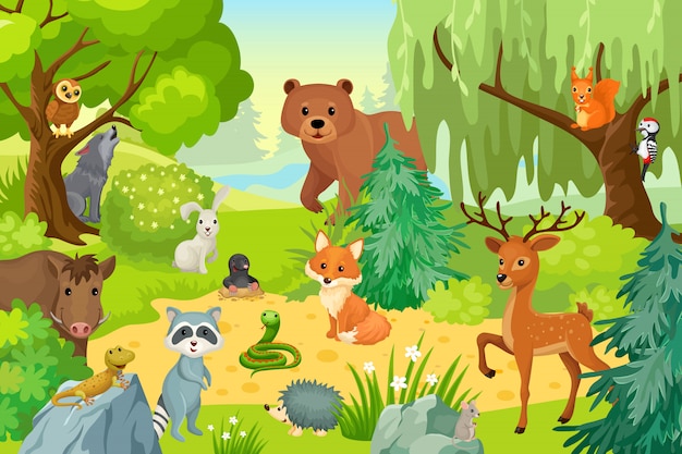Животные которые живут в лесу картинки для детей