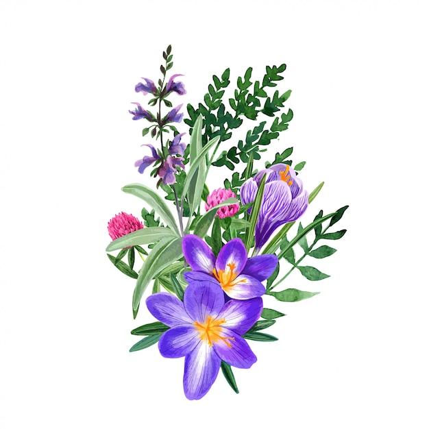 Download Wild field flowers bouquet with crocus and clover ...