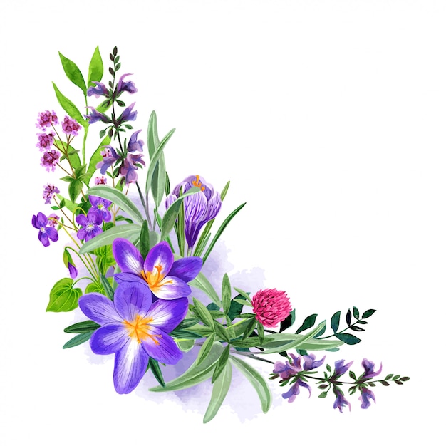 Download Wild field purple flowers bouquet, hand drawn | Premium Vector