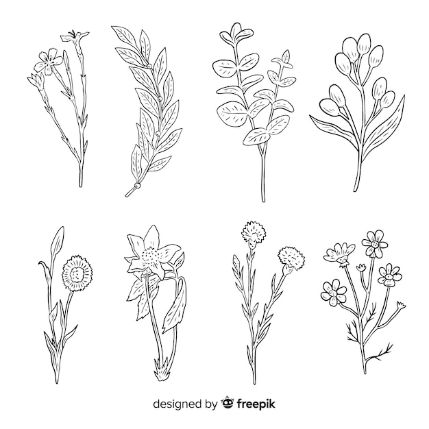 Download Wild flower collection with stems Vector | Free Download