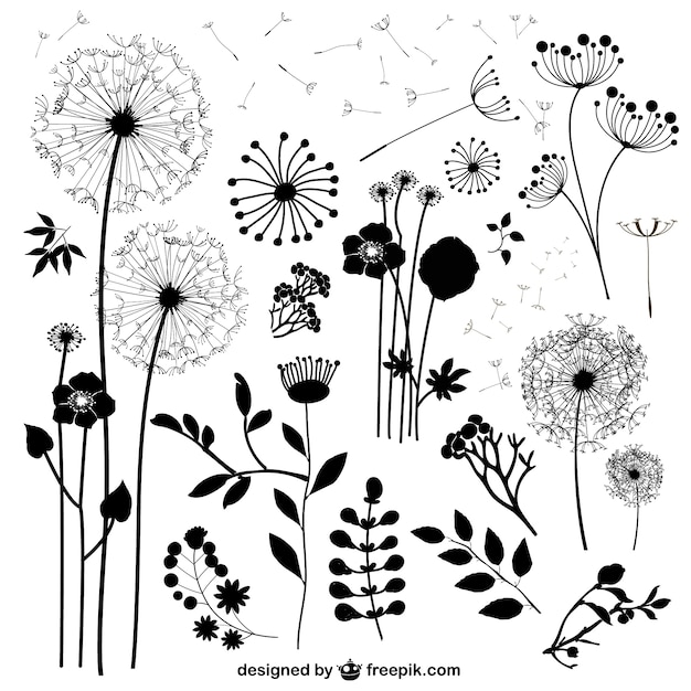 Wild flowers vectors Vector | Free Download