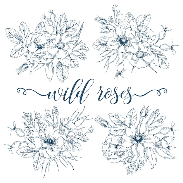 Download Premium Vector | Wild roses bouquets collection