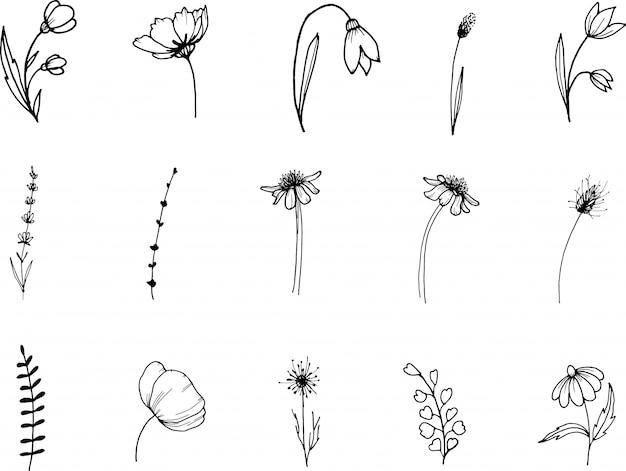 Premium Vector | Wildflower, line art doodle clipart, hand drawn