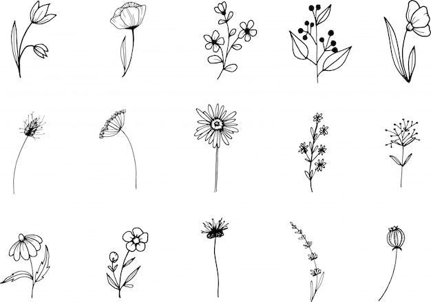 Premium Vector | Wildflower, line art doodle clipart, hand ...