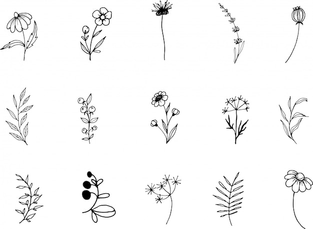 Premium Vector Wildflower, line art doodle clipart, hand
