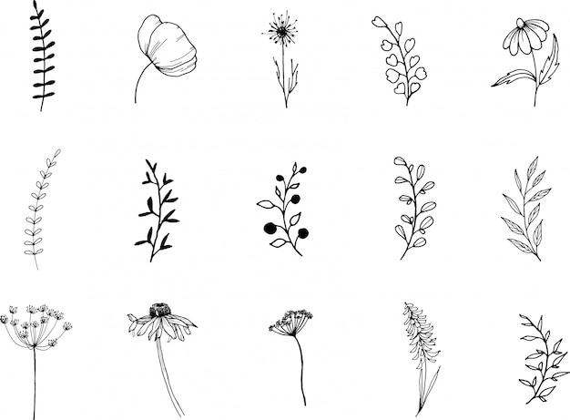 Black and white floral clipart Doodle Clipart Commercial clipart flower