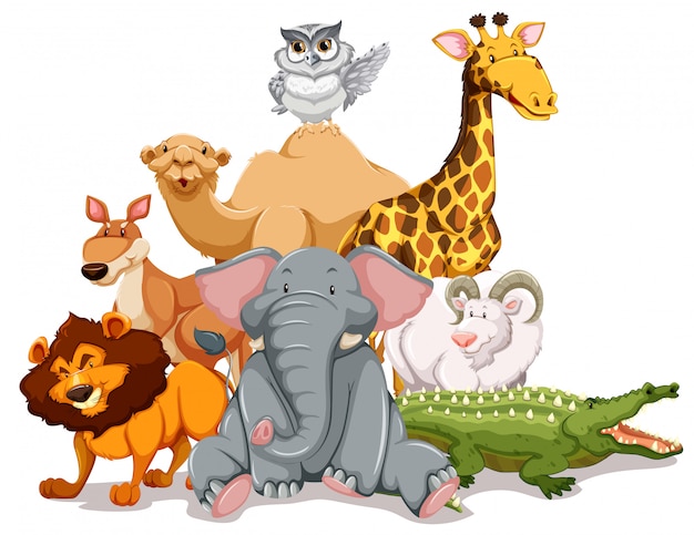 Wildlife | Free Vector