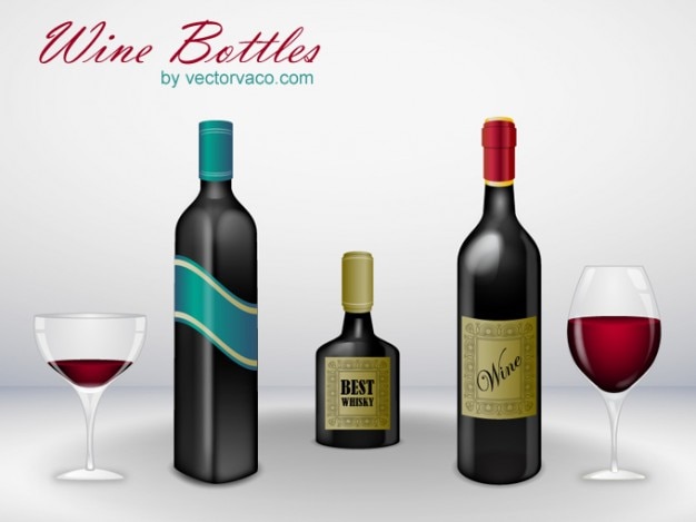 Wine bottles vector