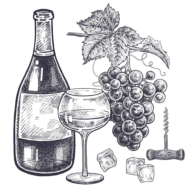 Wine and grapes set. Vector | Premium Download