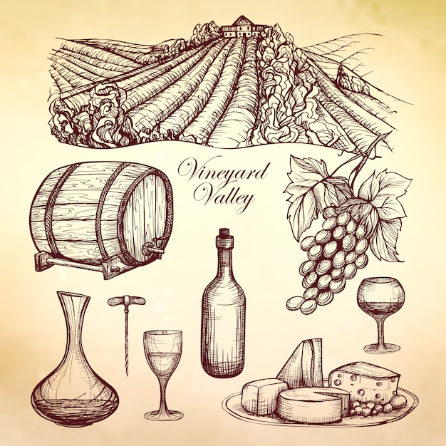 Wine sketch collection | Free Vector