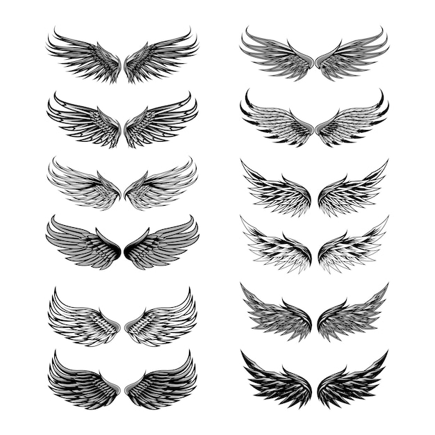 Premium Vector | Wings angel vector set