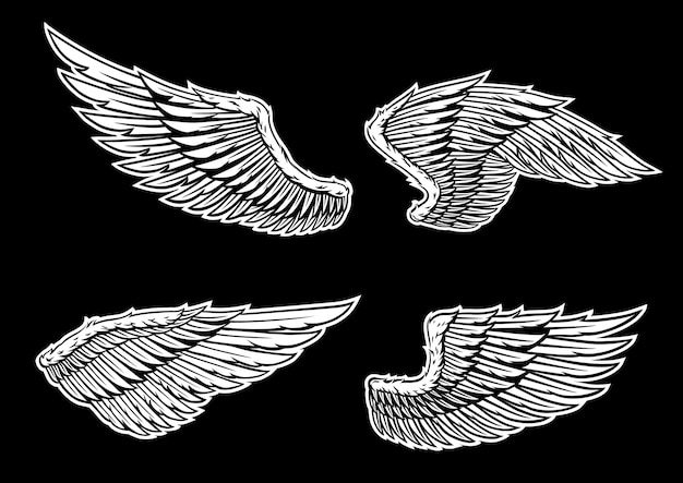 Download Free Wings Vector Set Premium Vector Use our free logo maker to create a logo and build your brand. Put your logo on business cards, promotional products, or your website for brand visibility.