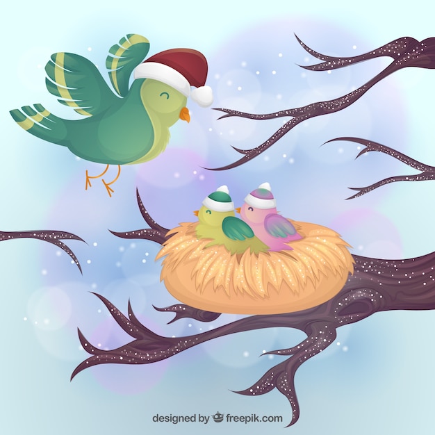 Winter birds with nest