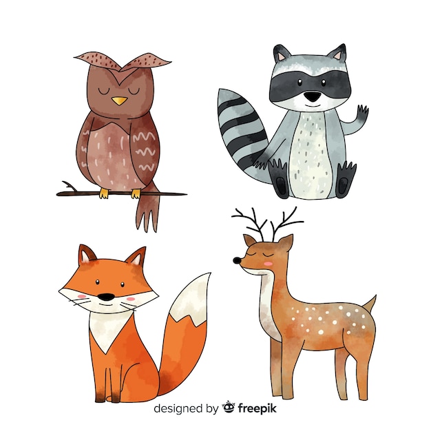 Winter forest animal collection Free Vector