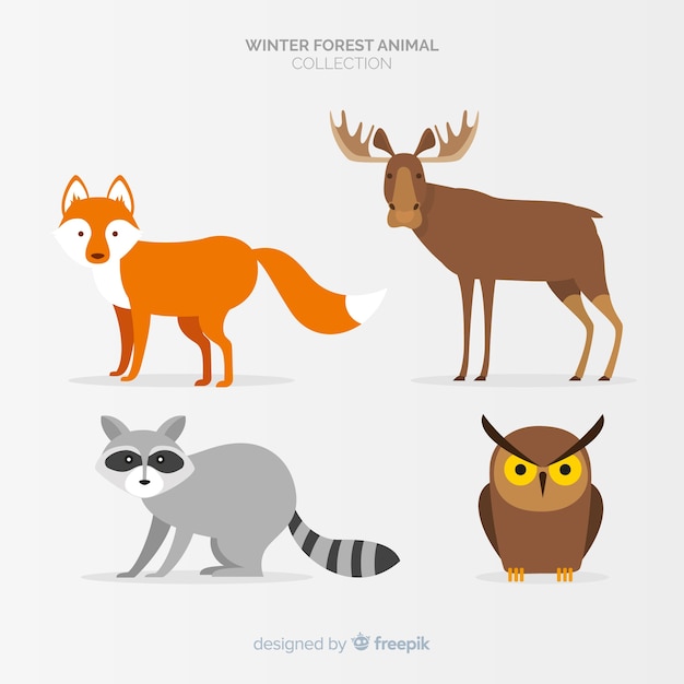 Download Winter forest animals collection Vector | Free Download