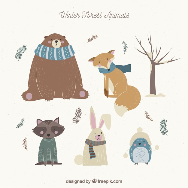 Winter forest animals