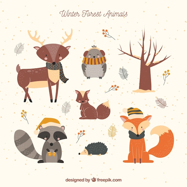 Winter forest animals