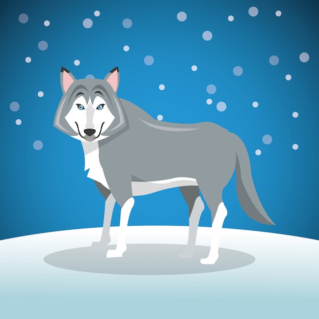 Premium Vector | Wolf over background image