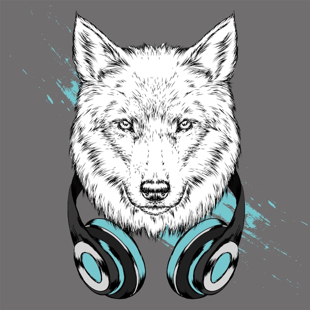 Premium Vector | Wolf hipster in the headphones