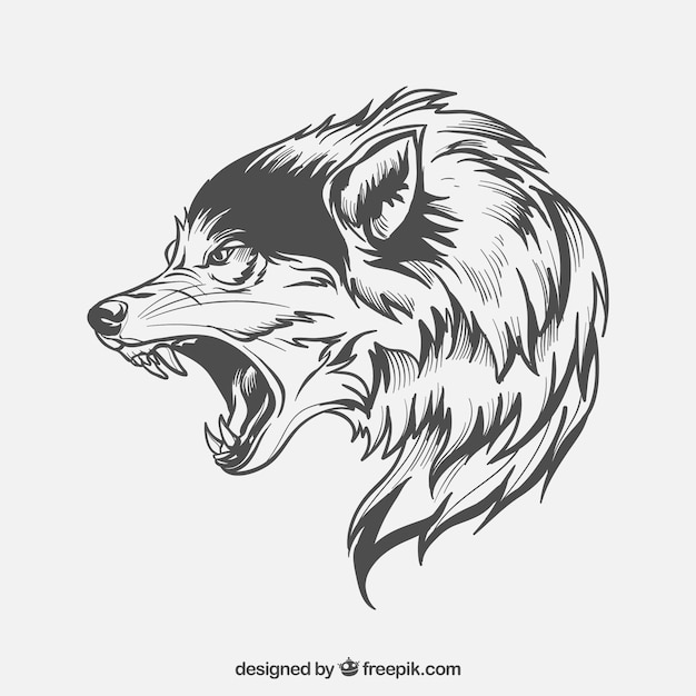 Download Wolf Vectors, Photos and PSD files | Free Download