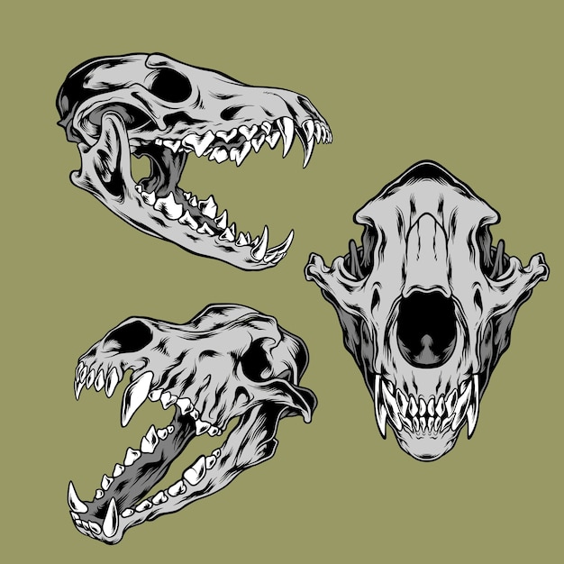オオカミの頭蓋骨イラストパック プレミアムベクター