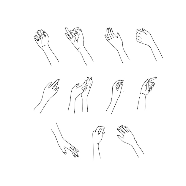 Premium Vector Woman S Linear Hand Set Female Hands Of Different Gestures Lineart In A Trendy Minimalist Style