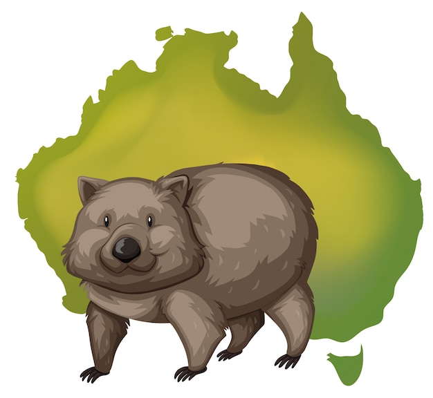 Wombat Images | Free Vectors, Stock Photos & PSD