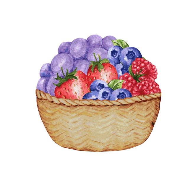 分離された様々な果実と木製のバスケット イチゴ ラズベリー ブルーベリーの水彩イラスト プレミアムベクター