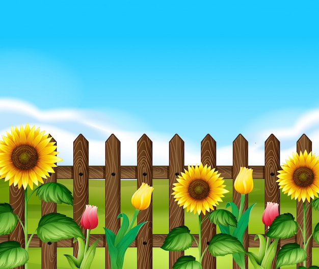 Download Wooden fence with flowers in the garden Vector | Premium ...