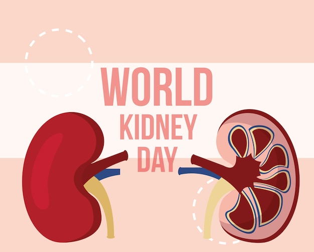 Premium Vector | World kidney day campaign awareness medical