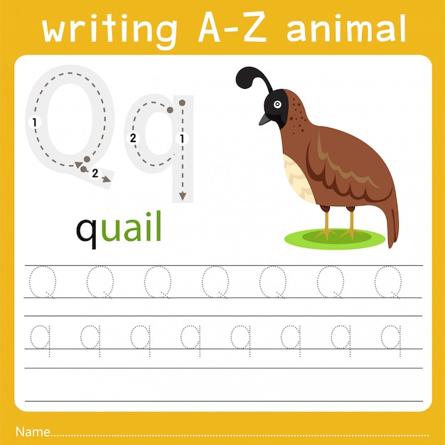 Animal Name Starting With Q - Is There Any Animal Which Begins With