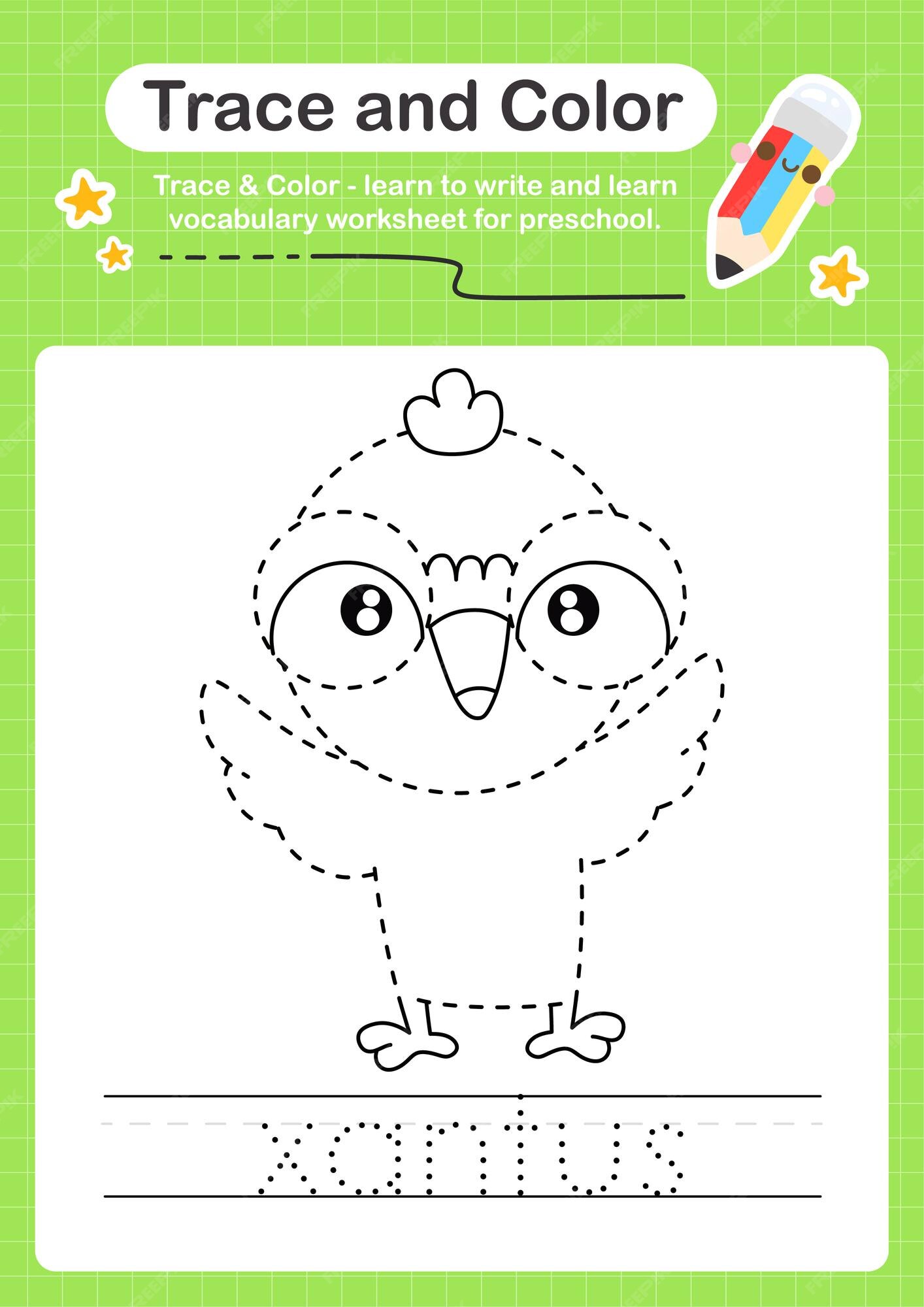 Premium Vector | Xantus bird trace and color preschool worksheet trace