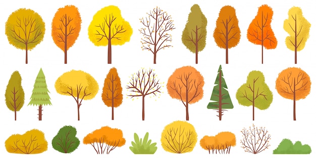 黄色の秋の木々 カラフルな庭の木 秋の庭の茂み 秋の季節の木の葉イラストセット プレミアムベクター