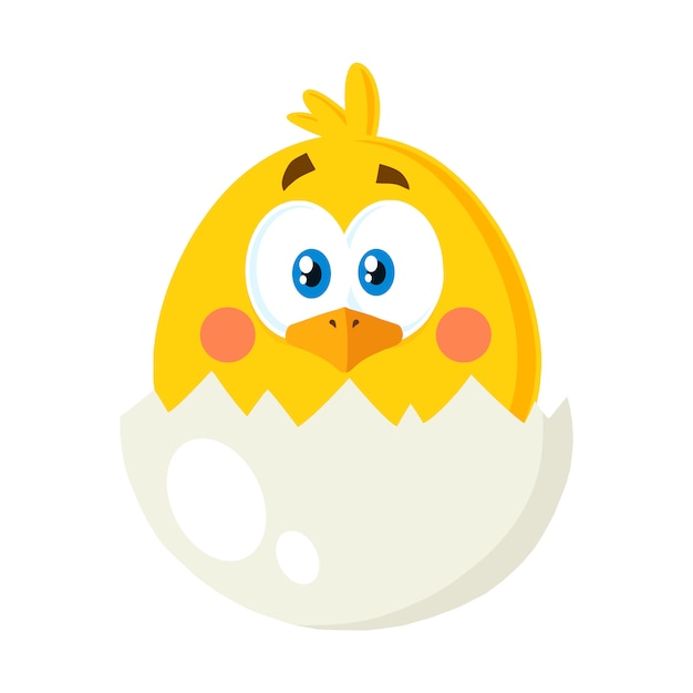 卵の殻から黄色のひよこの漫画のキャラクター ベクトルイラストフラット分離 プレミアムベクター