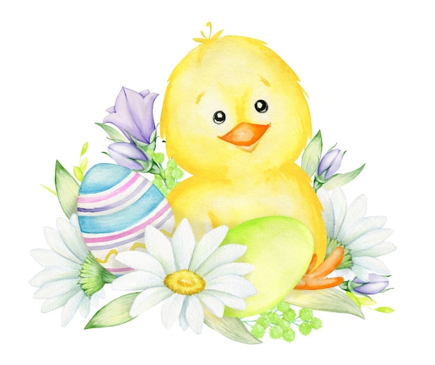 Download Yellow chicken, sitting on a pile of flowers, easter eggs. watercolor | Premium Vector