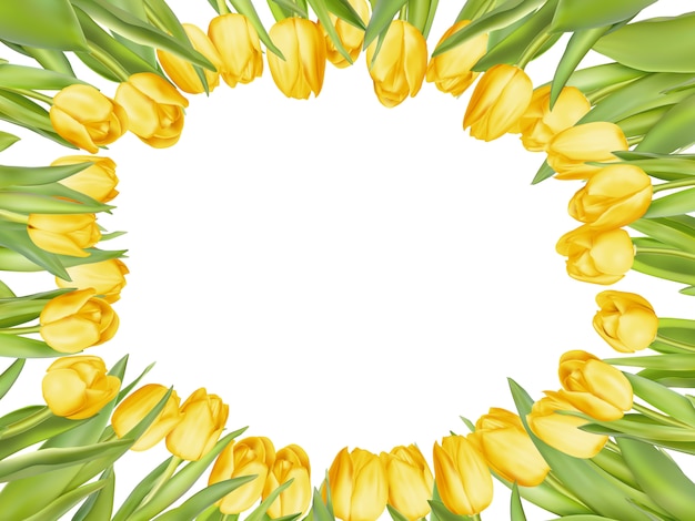 Premium Vector | Yellow fresh tulips on white frame