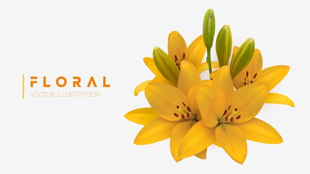 Premium Vector | Yellow lily flower bouquet isolated vector ...