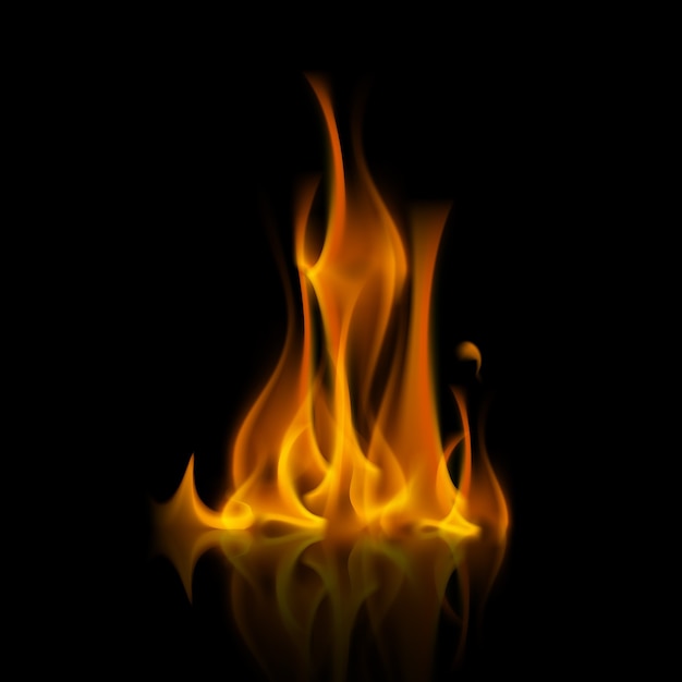 Premium Vector | Yellow orange fire flame bonfire on background