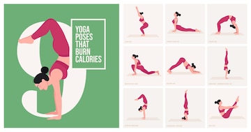 Premium Vector | Yoga poses for burn calories young woman practicing ...