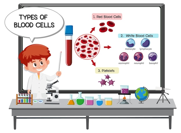 実験室の要素を持つボードの前で血球の種類を説明する若い科学者 プレミアムベクター