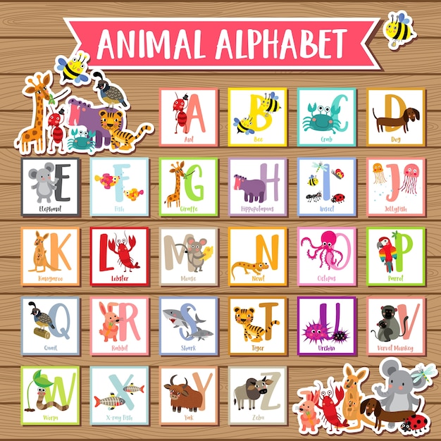 Premium Vector | A to z animal alphabet