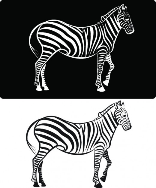 Download Free Download Free Zebra From Side View On Black And White Backgrounds Use our free logo maker to create a logo and build your brand. Put your logo on business cards, promotional products, or your website for brand visibility.