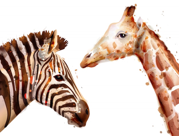 Download Zebra and giraffe watercolor | Premium Vector