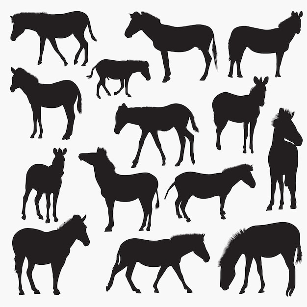 Download Zebra silhouettes Vector | Premium Download