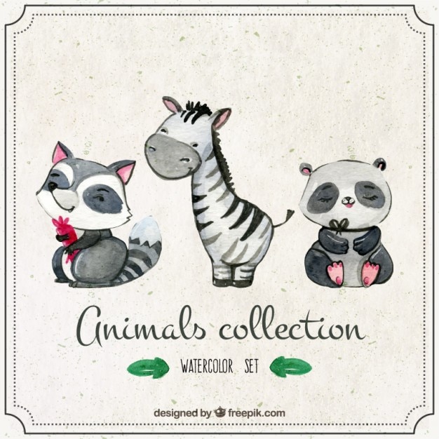 Download Zebra with watercolor lovely animals | Free Vector