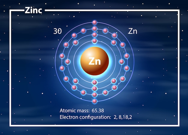 A zinc atom diagram Free Vector