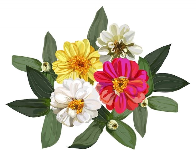 ジニアの花の花束 プレミアムベクター