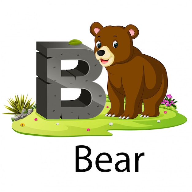 Premium Vector | Zoo Animal Alphabet B For Bear With The Animal Beside